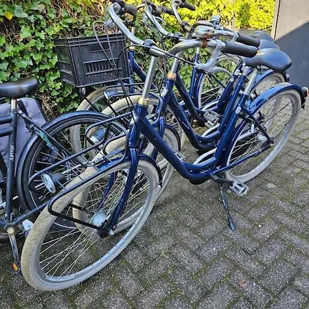 Smalland Amsterdam 루즈으레트